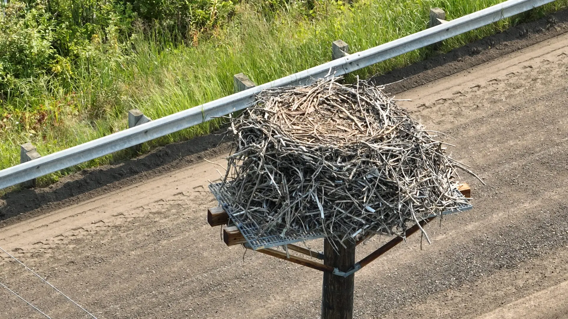 OSPREY NEST